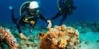 Kemer Scuba Diving 4