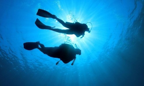 Zwei Taucher Im Gegenlicht Unter Wasser