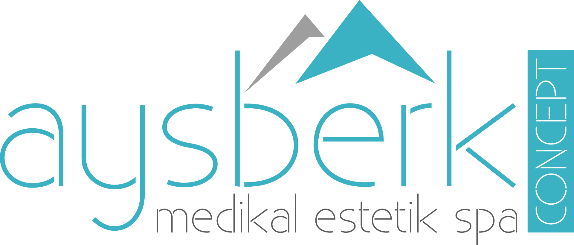 Aysberk--Logo-Decupe
