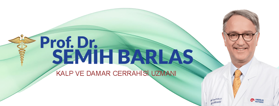 Prof. Dr. Semih Barlas