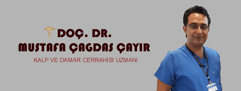 Doç. Dr. Mustafa Çağdaş Çayır / Denizli