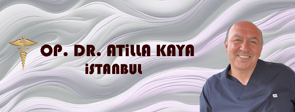 Dr. Atilla Kaya / İstanbul