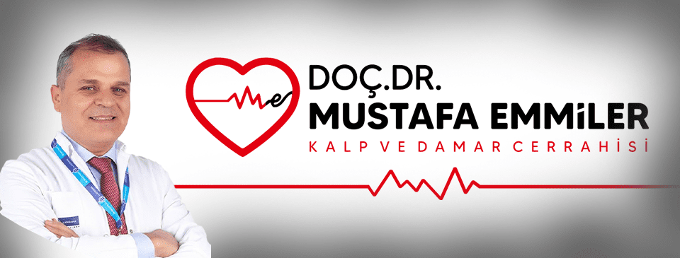 Doç. Dr. Mustafa Emmiler