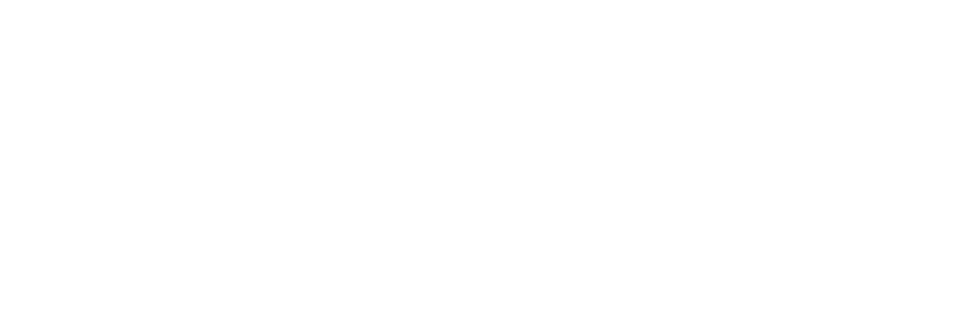 Fıstık Lojistik Logo