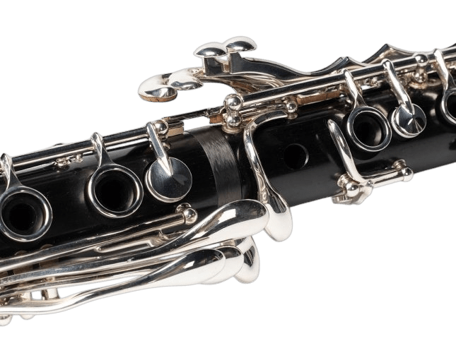 KLARNET ÖĞRETMENİNİN NİTELİKLERİ