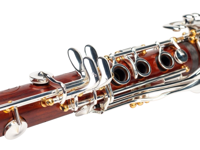 KLARNET KAMIŞINDA TAM PERFORMANS