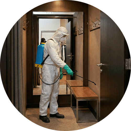 Satsuma Çevre Sağlığı ilaçlama görevlisi, Bodrum'da bir mağazanın soyunma kabinlerini ilaçlıyor.