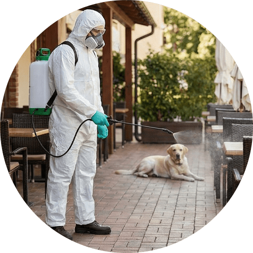 Profesyonel Uygulama