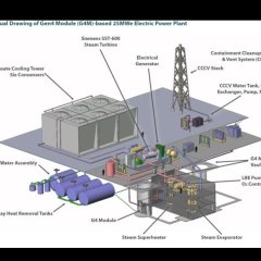 WhatsApp Image 2026-02-20 at 12.29.52