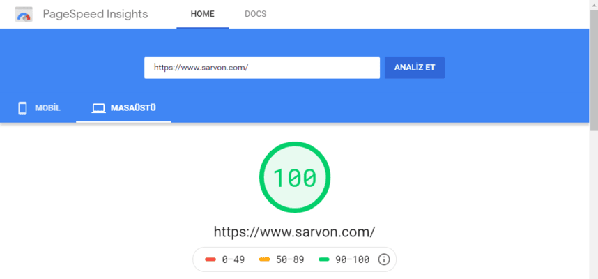 google pagespeed insight hız testi puanı 100