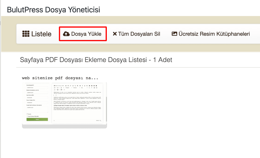 2 dosya yükle düğmesine tıklayın