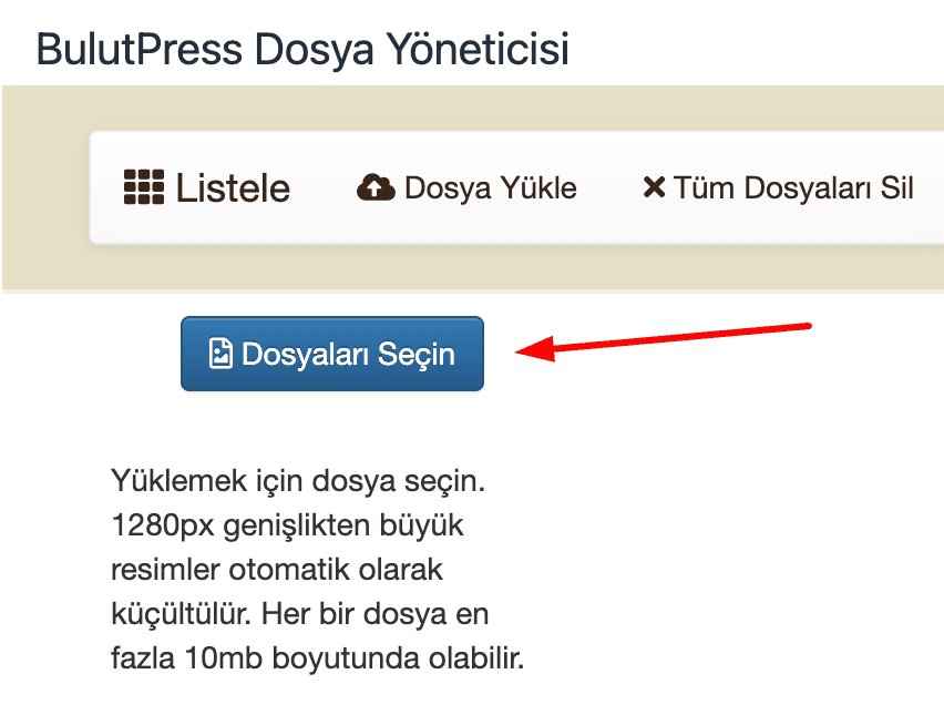 3 dosyaları bilgisayarınızdan seçin