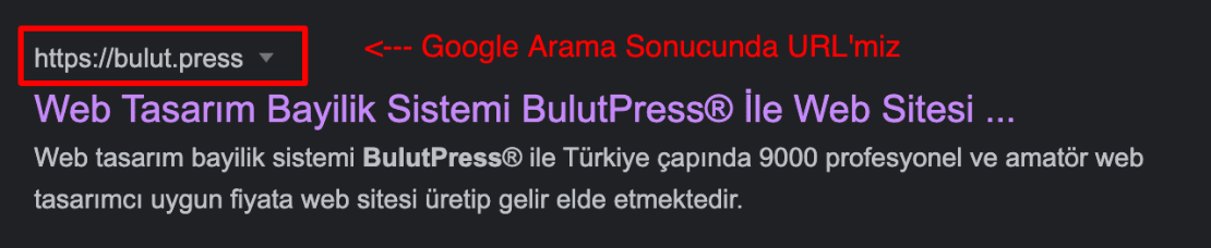 google arama sonucunda url örneği