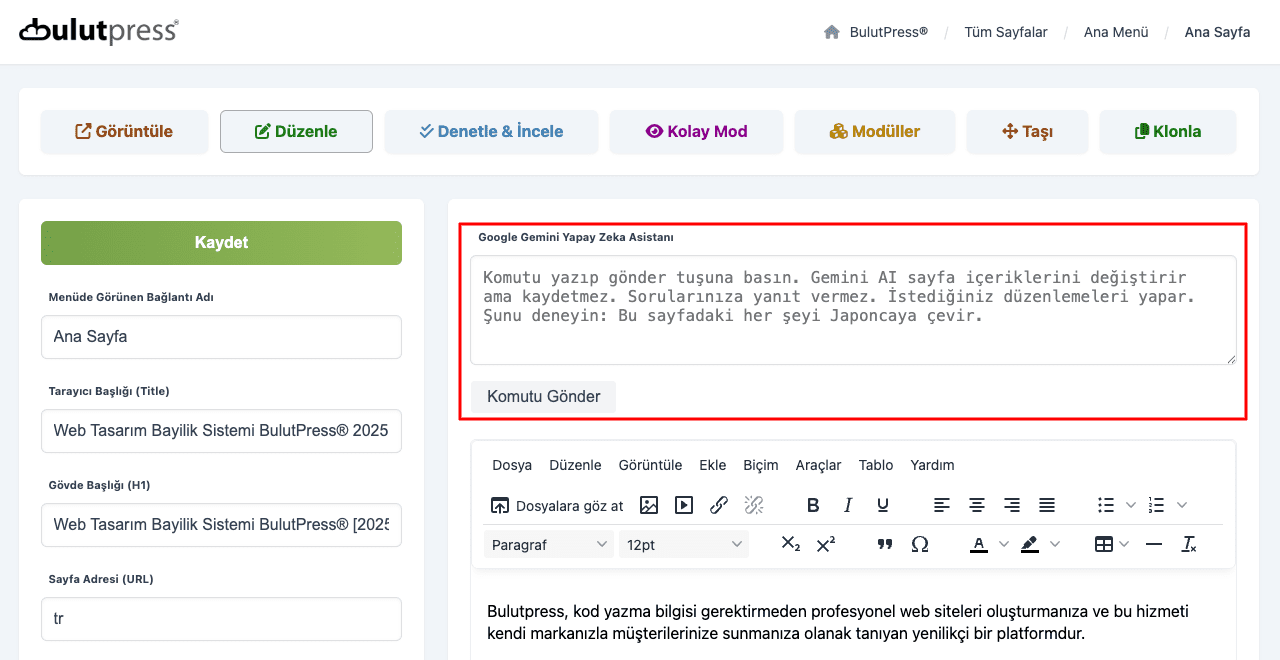 Google Gemini Ai Asistanımız