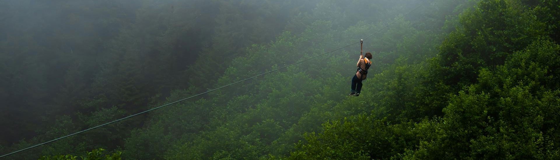 Koyu yeşil, sisli bir orman vadisinin üzerinden çelik halatla kayan, sırt çantalı ve emniyet kemerli bir zipline sporcusu.