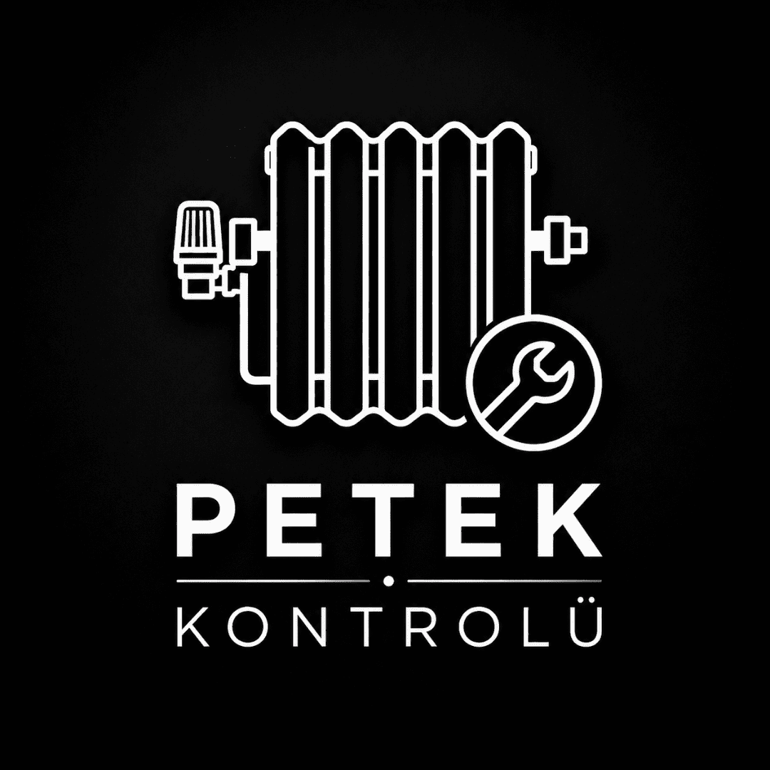 Petek-Kontrolü