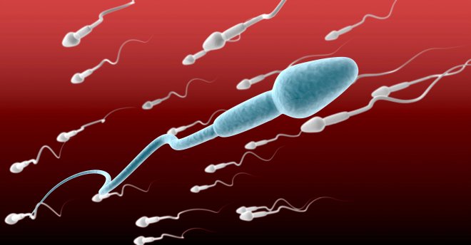 sperm donation, sperm sell, azoospermi,produce sperm,stempcell, tese,tesa