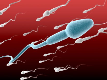 I Don't Produce Sperm, Can I Become a Dad T-through Sperm Donation?