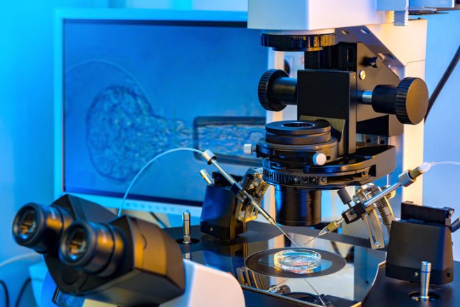 microinjection,icsi,ivf,in vitro fertilization, succes rate in cyprus ıvf