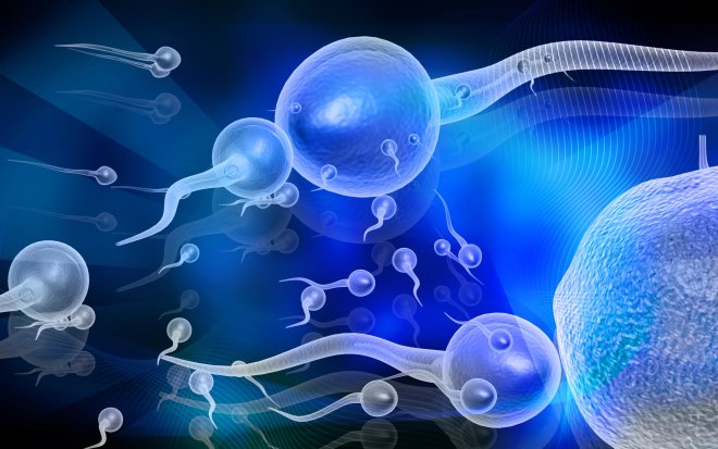 Azoospermia and the Chance of Becoming a Father: Is Sperm Donation an Option?
