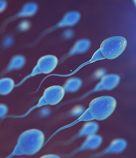 SPERM FREEZING