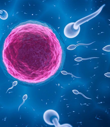SPERM DONATION