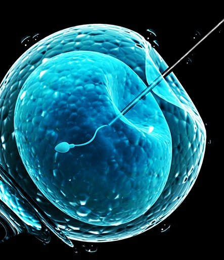 ROSI (ROUND SPERMATID INJECTION)