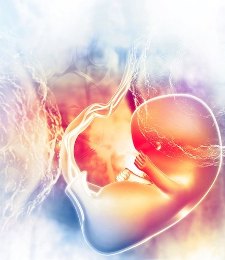EMBRYO FREEZING