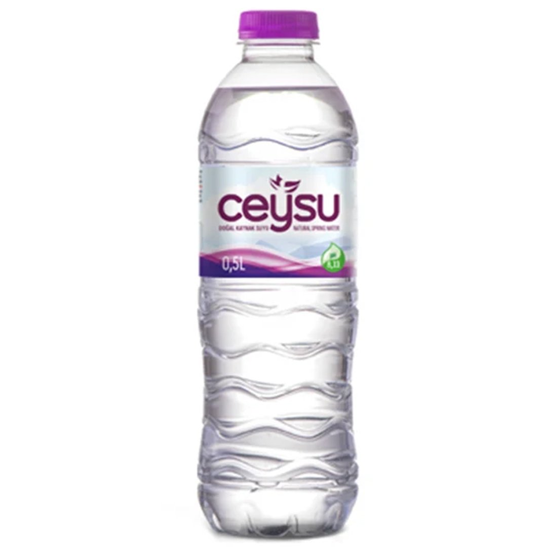 Ceysu 500 Ml