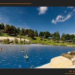 Montenegro Social Center Landscaping 14