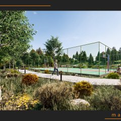 Montenegro Social Center Landscaping 117