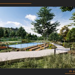 Montenegro Social Center Landscaping 116