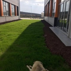 Tacettin Aslan Meslek Lisesi 16