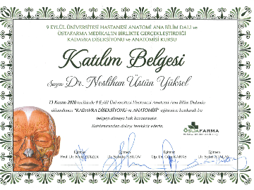 Kadavra Anatomisi Sertifikası