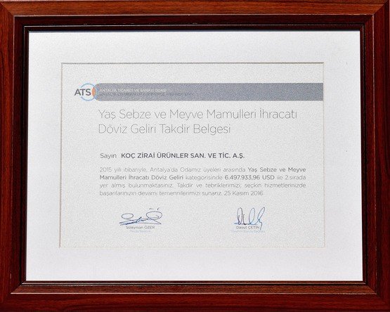 2015 Foreign Currency Revenue Second Place Award