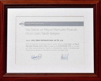 2015 Foreign Currency Revenue Second Place Award