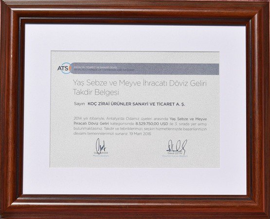 2014 Foreign Currency Revenue Third Place Award