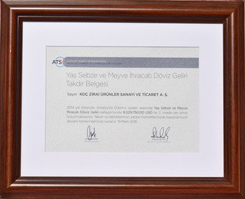 2014 Foreign Currency Revenue Third Place Award