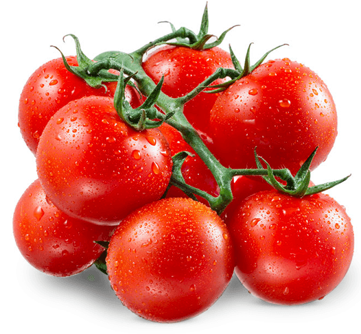 Fresh Vegetables Tomato
