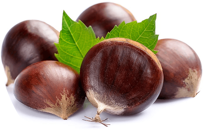 Fresh Fruits Chestnut