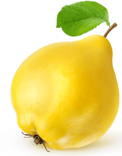 Fresh Fruits Quince