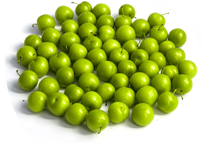 Fresh Fruits Plum