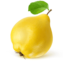Fresh Fruits Quince