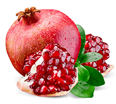 Fresh Fruits Pomegranate