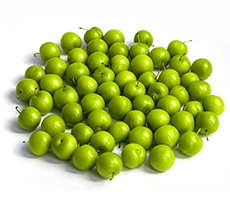 Fresh Fruits Plum