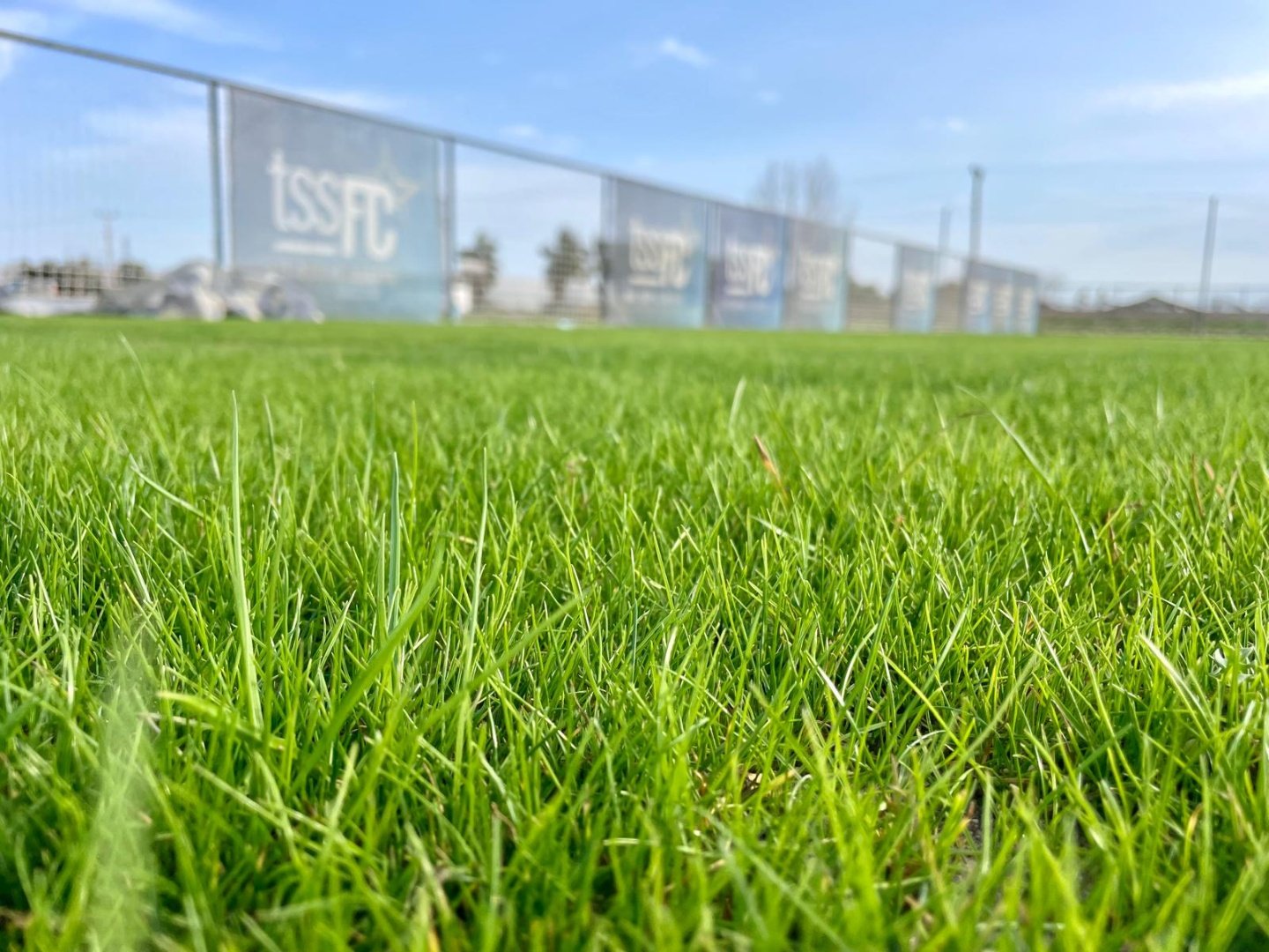 Whatsapp Image 2024-10-03 At 23.20.00