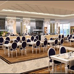 ANA RES. GÖRSEL (1)