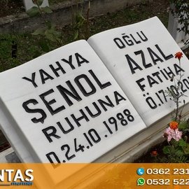 BAŞLIK 1