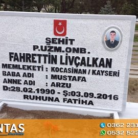 BAŞLIK 7
