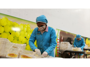 Canlar Fruit Covid-19 Precautions